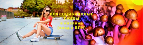 МДПВ Алексин