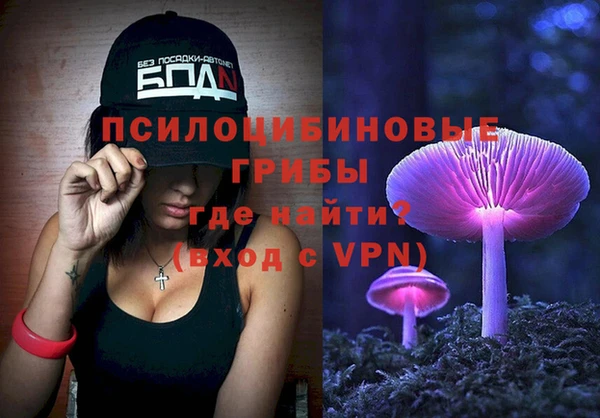 МДПВ Алексин