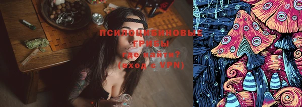МДПВ Алексин