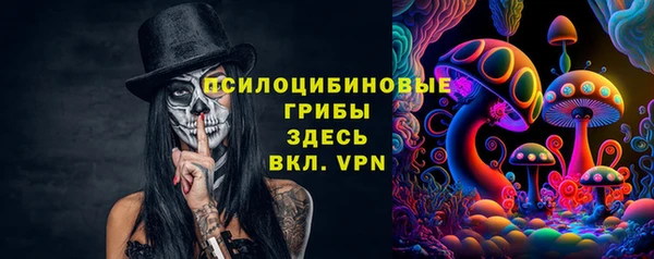 МДПВ Алексин