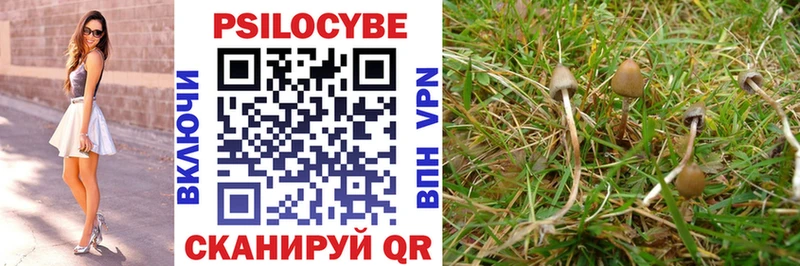 Псилоцибиновые грибы GOLDEN TEACHER  купить  сайты  Нестеров 